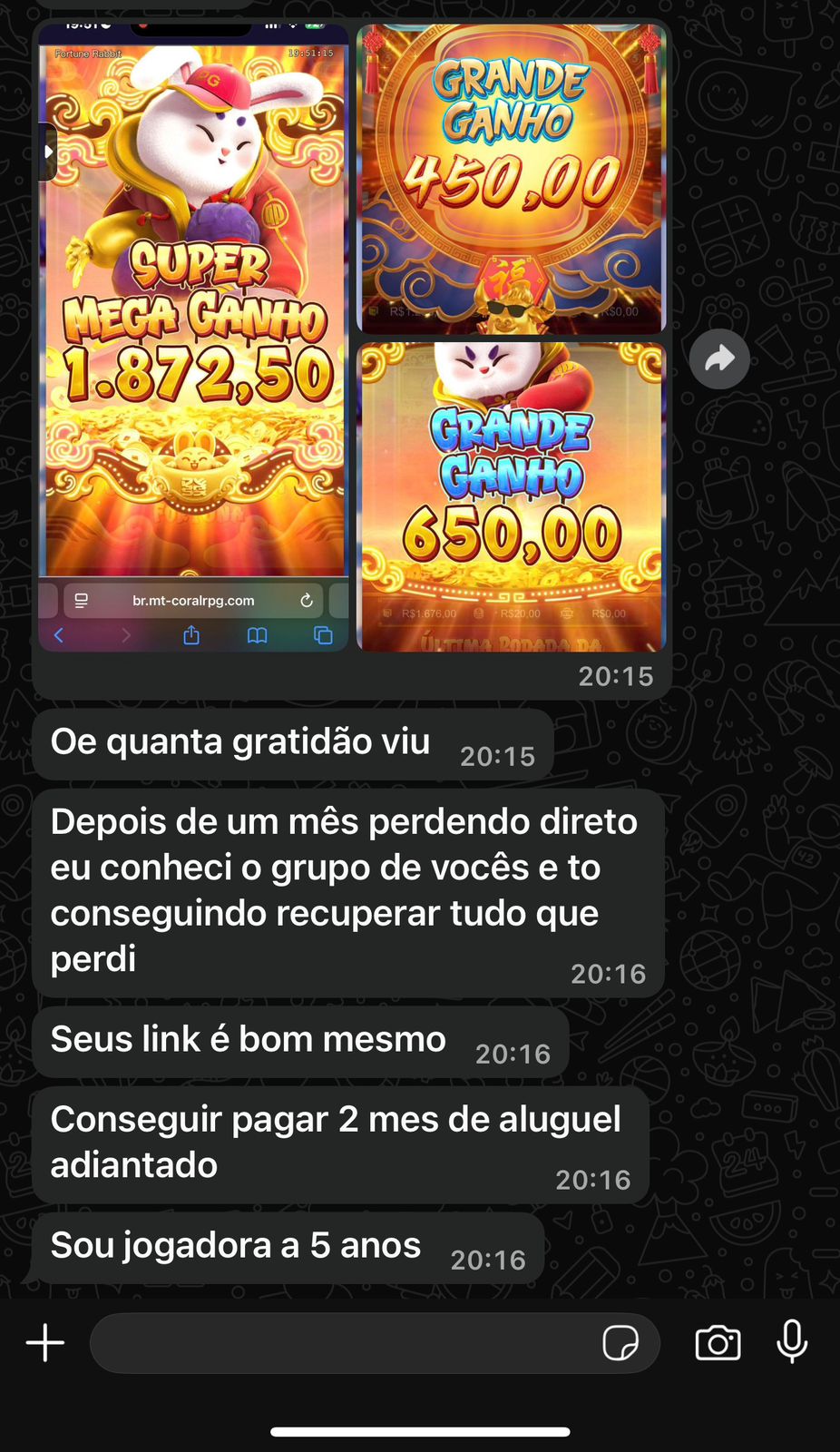 WhatsApp Image 2025-09-19 at 20.18.34 (1)